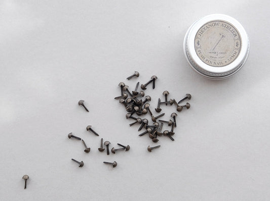 Push Pin Nail