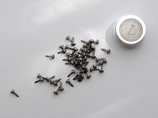 Push Pin Nail